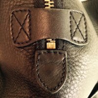 Celine7.jpg