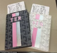 the last of, My Goyard passport cover customisations - a Fl…