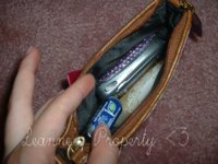 Coach bag inside.JPG