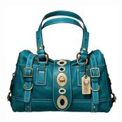 Bag.PNG