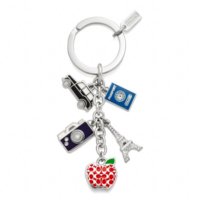 62733_svmc_a0 travel apple eiffel camera passport car .jpg