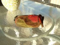 DSCF1513.JPG