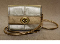 goldbag1.jpg