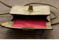 goldbag2.jpg