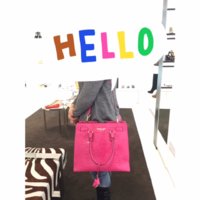 picture of purse.jpg