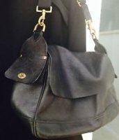 bag.jpg