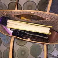 ImageUploadedByPurseForum1423349987.203739.jpg