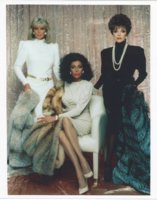 dynasty 12.jpg