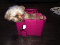 ImageUploadedByPurseForum1423703840.403697.jpg ImageUploadedByPurseForum1423703840.403697.jpg