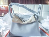 ImageUploadedByPurseForum1423807798.204252.jpg