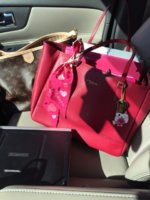 ImageUploadedByPurseForum1423851837.489024.jpg