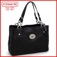 Coach penelope.png