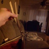 ImageUploadedByPurseForum1424144701.478402.jpg