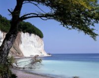 Insel_RuegenOstsee_Kreidefelsen_im_Nationalpark_Jasmund03_1024x768-300x237.jpg
