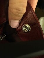 ImageUploadedByPurseForum1424734948.605974.jpg