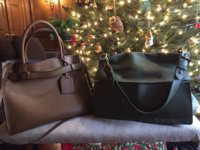 ImageUploadedByPurseForum1426000525.983772.jpg