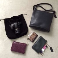 ImageUploadedByPurseForum1425244597.815449.jpg