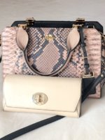 ImageUploadedByPurseForum1425507747.680646.jpg