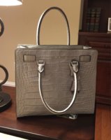ImageUploadedByPurseForum1425512199.975685.jpg
