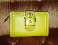 ImageUploadedByPurseForum1425589566.998407.jpg