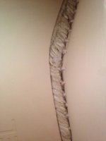 ImageUploadedByPurseForum1425600444.924572.jpg