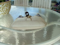 DSCF1621.JPG