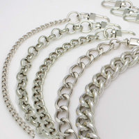 pf silver chain strap.JPG