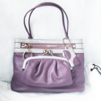 bonnie framed bag003.jpg