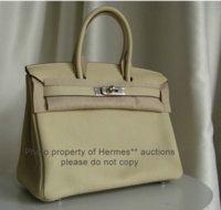 Parchmein Togo Birkin.jpg
