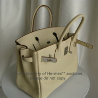 Parchmein Togo Birkin Opened.jpg