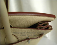 Parchmein Togo Birkin Close Up.jpg