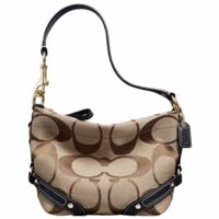 coach carly top handle pouch 40347.jpg