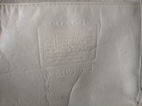IMG_5320.jpg