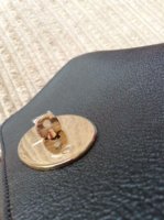 ImageUploadedByPurseForum1427302797.723938.jpg