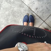 ImageUploadedByPurseForum1427618044.727246.jpg