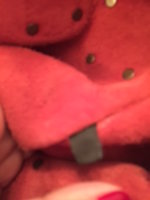 image8.jpeg
