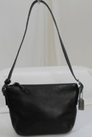 COACH-MINI-1.jpg