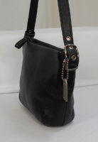 COACH-MINI-5.jpg
