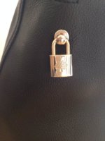 ImageUploadedByPurseForum1428583761.753242.jpg