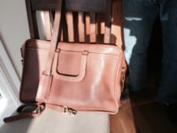 tanbriefcase.JPG