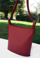 red shoulder sac 018.jpg