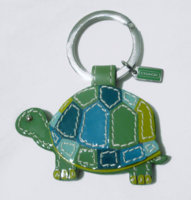 turtle 013.jpg