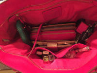 ImageUploadedByPurseForum1430947997.736231.jpg
