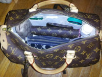 lv speedy insert.jpg
