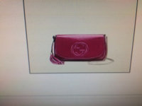 ImageUploadedByPurseForum1431550464.024893.jpg