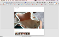 Screen Shot 2015-05-20 at 12.23.28 pm.png