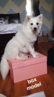 IMG_8570.jpeg