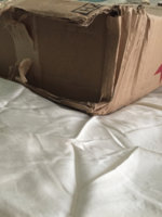 ImageUploadedByPurseForum1432669034.795218.jpg