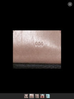 ImageUploadedByPurseForum1432930785.565503.jpg