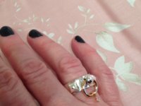 ring cdc 3.jpg